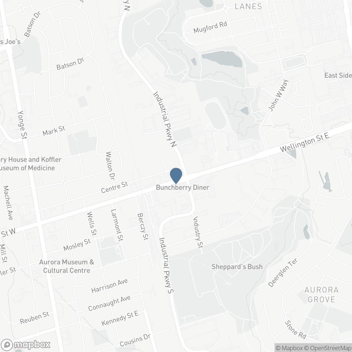 513 - 160 WELLINGTON STREET, Aurora, Ontario L4G 1J3